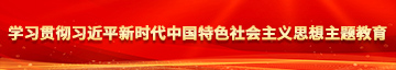 骚逼电影网站链接学习贯彻习近平新时代中国特色社会主义思想主题教育