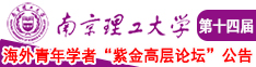 黄色艹逼事网南京理工大学第十四届海外青年学者紫金论坛诚邀海内外英才！